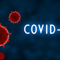 Coronavirus Pandemic Tax Update