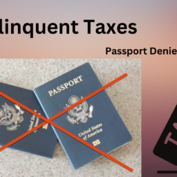 Passport Delinquent Taxes