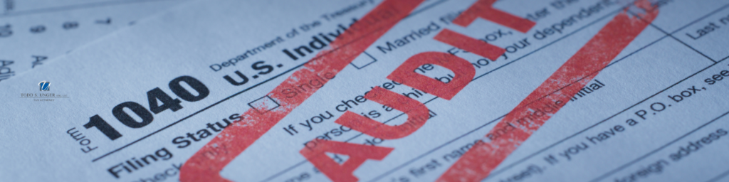 irs audit help