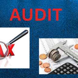 tax audit