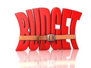 IRS 2015 Budget